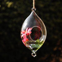 创意可悬挂透明玻璃花瓶挂式花瓶植物水培花器吊瓶田园家居装饰品_250x250.jpg