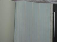 现货/韩国墙纸壁纸 BOS 59152-1 59152-2（停产） 59152-3_250x250.jpg