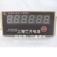 【正品佰乐】JY20S电子计数器 计数器【质保一年】_250x250.jpg