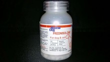 美国摩登狗P5宠物药品风湿病关节炎过敏性皮炎犬恶心丝虫性肺炎