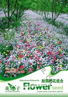 花仙子 耐阴野花组合种子 适合背阴种植 颜色丰富 家庭花卉 200粒_250x250.jpg