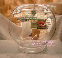 【40D】玻璃透明水培缸/鱼缸/花瓶/水培植物/圆球带底特大型缸_250x250.jpg