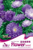 花仙子花卉种子 蓝佳丽翠菊种子 一二年生草本花卉种子 约50粒装_250x250.jpg