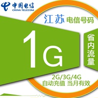 江苏电信手机流量自动充值 1GB 加油包 叠加包 省内通用_250x250.jpg