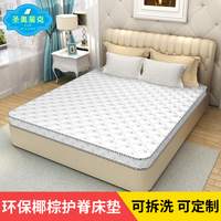 床垫棕垫 1.5m双人天然椰棕床垫成人棕榈床垫经济型1.8m床垫定做_250x250.jpg