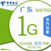 广东电信手机流量自动充值 日包 1GB 加油包 省内通用 当天有效_250x250.jpg