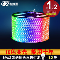 欧雅琪  LED灯带16色智能遥控高亮变色光带客厅吊顶灯槽软灯条_250x250.jpg
