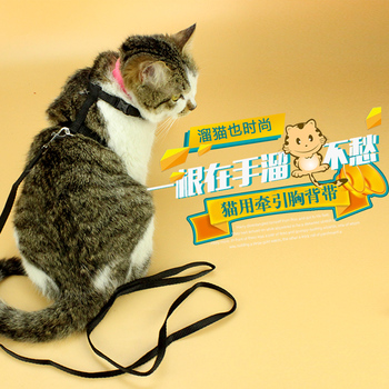 猫用胸背带牵引绳 猫绳子猫链子 宠物牵引带拴猫绳外出溜猫绳包邮