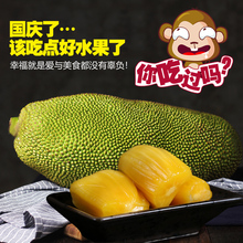 呀诺达海南三亚特产菠萝蜜干苞新鲜水果当季生鲜热带水果25斤包邮