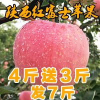 【溪口】陕西特产新鲜苹果水果新鲜红富士苹果脆甜多汁四斤送三斤_250x250.jpg
