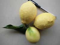 琳宇柠檬安岳黄柠檬2016年现摘柠檬5斤限时25.80包邮_250x250.jpg