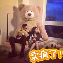 美国巨熊泰迪熊公仔超大号布娃娃送女朋友 女生生日礼物3.4米玩具