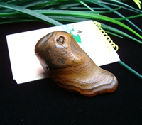 天然玛瑙原石摆件把玩花纹玛瑙象形《三寸金莲》_250x250.jpg