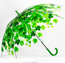 特价平形阿波罗透明直杆儿童学生雨伞女树叶绿荫树荫公主舞台道具