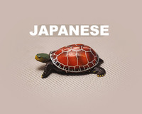 日本正版 中国褐龟 模型摆件 做工精致 约5厘米 启蒙认知动物_250x250.jpg
