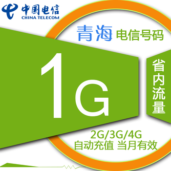 青海电信手机流量自动充值 1GB 加油包 叠加包 省内通用