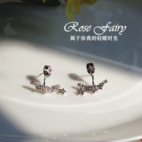 Rose Fairy 韩式气质款繁星点点耳环 秀气星星耳钉 别致大方 银针_250x250.jpg