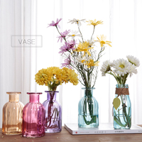 小清新透明玻璃水培花瓶个性摆件客厅桌面装饰品绿萝植物容器摆件_250x250.jpg
