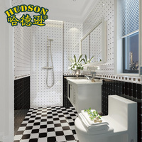 哈德逊 黑白格子 卫生间防滑地砖 简约时尚瓷砖配套墙砖_250x250.jpg