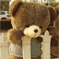 结婚公仔大熊泰迪熊玩具娃娃毛绒熊1.6米抱抱熊 圣诞节女生日礼物_250x250.jpg