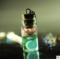 韩版时尚个性新款发夜光花朵漂流瓶项链 夜明珠毛衣链送女友礼物_250x250.jpg