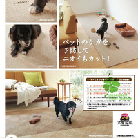 日本东理家装家用免胶方块地毯AK系列400*400环保耐污不怕宠物抓_250x250.jpg