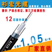 杉宏 gyxtw12芯室外单模光缆 12芯光缆 合格测试 熔接布线 特卖中_250x250.jpg