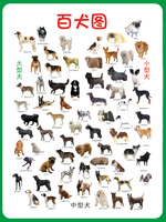 高清大幅百犬图宠物狗识别图宠物店装饰画画芯海报可发图订做132_250x250.jpg