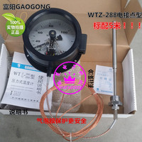富阳热工WTQ/WTZ-288电接点压力式温度计 锅炉/指针温度计 温度表_250x250.jpg