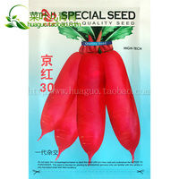 思贝奇京红30萝卜种子 水萝卜 红萝卜 抗病耐寒不抽苔产量高 20克_250x250.jpg
