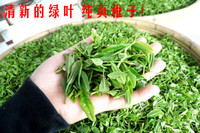 诸城桃林绿茶 纯天然有机绿茶散装50克_250x250.jpg