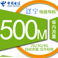 辽宁电信手机流量自动充值 500MB 加油包 叠加包 省内通用_250x250.jpg