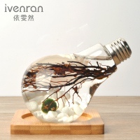 ivenran微景观海藻球玻璃生态瓶灯泡创意DIY办公室摆件生日礼物_250x250.jpg