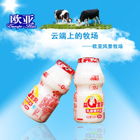 【云南特产】欧亚 益Q宝贝乳酸菌牛奶饮品 100ml X40瓶/箱_250x250.jpg