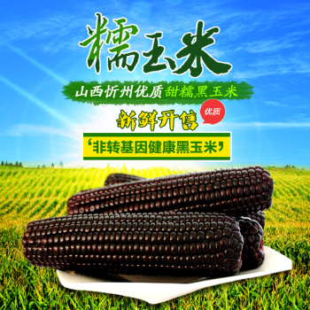 【2015新货】新鲜微甜糯黑玉米棒整箱18根 山西特产 糯玉米紫玉米
