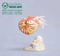 【绝品】世纪模玩海洋古化石鹦鹉螺 仿真动物模型 约5cm 不带底座_250x250.jpg