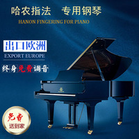 全新哈农三角钢琴家用儿童成人演奏白色GP158/德国进口配置包邮_250x250.jpg