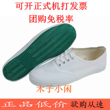 儿童系带网鞋青岛环球白球鞋舞蹈鞋帆布鞋男女童学生体操鞋促销