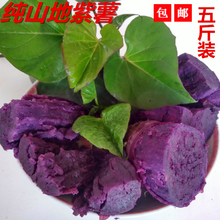 现挖新鲜生紫薯 有机红薯紫番薯紫地瓜 紫心紫薯农家自种5斤 甜糯