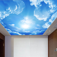 高端大型无缝壁画 蓝色天空顶上壁画儿童客厅背景壁画订制壁画_250x250.jpg
