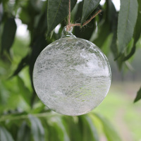 厂家直销新款内丝透明玻璃球圣诞树挂件节日装饰挂件派对装饰用品_250x250.jpg