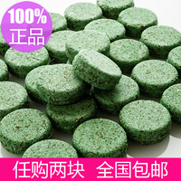 台湾代购LUSH 绿光森林精灵洗发饼 Squeaky green 55g  日产_250x250.jpg