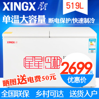 XINGX/星星 BD/BC-519E 大冰柜商用冷柜大型冷冻冷藏卧式单温雪柜_250x250.jpg