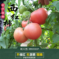 农家自种纯天然有机蔬菜新鲜番茄西红柿洋柿子自然熟孕妇宝宝辅食_250x250.jpg
