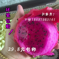 新鲜台湾蜜宝 金都一号 红心火龙果 水果PK越南火龙果4斤装包邮_250x250.jpg
