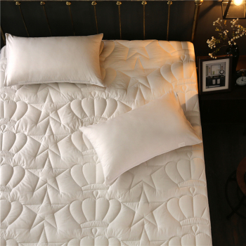 床笠纯棉 加厚夹棉全棉床罩席梦思床垫保护套单件1.8米床垫套定制