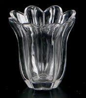正方形水培玻璃器皿 透明方缸绿萝 睡莲 铜钱草 水培花盆玻璃花瓶_250x250.jpg