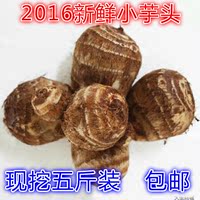 山东农家自种芋头 新鲜小毛芋头 芋艿有机芋头香芋 毛芋头五斤装_250x250.jpg