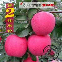 第2件半价现摘静宁苹果红富士吃的Apple新鲜水果甜75mm5斤包邮_250x250.jpg