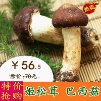 云南特产农家姬松茸干货 巴西菇新鲜松茸菇巴西蘑菇250g包邮_250x250.jpg